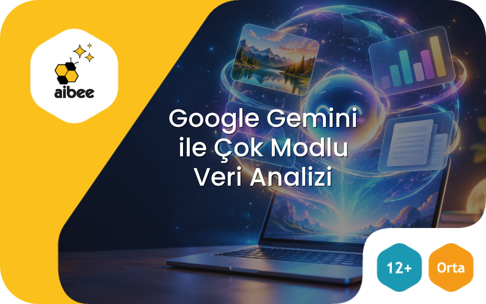 Google Gemini ile Çok Modlu Veri Analizi