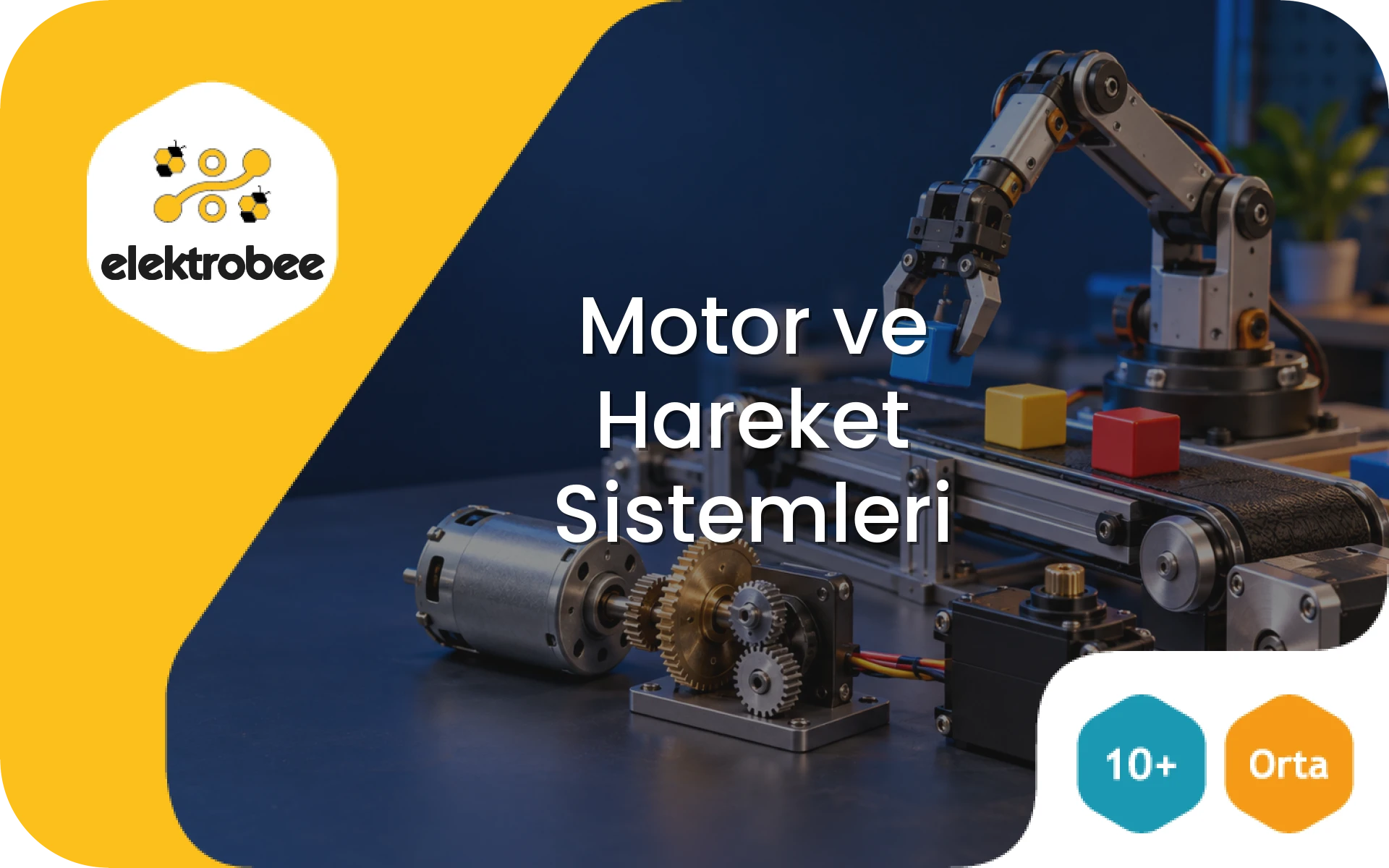 Motor ve Hareket Sistemleri