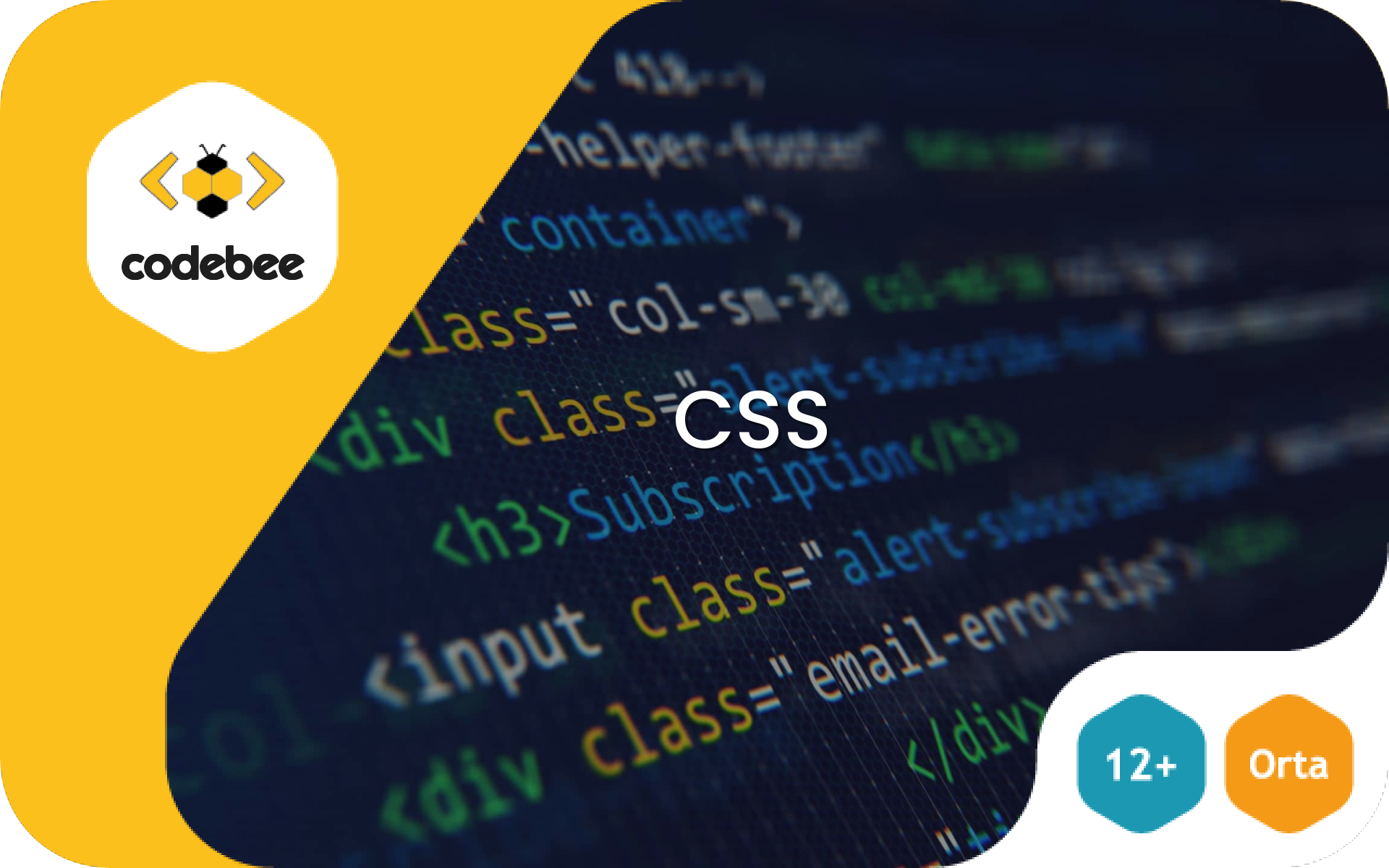 CSS