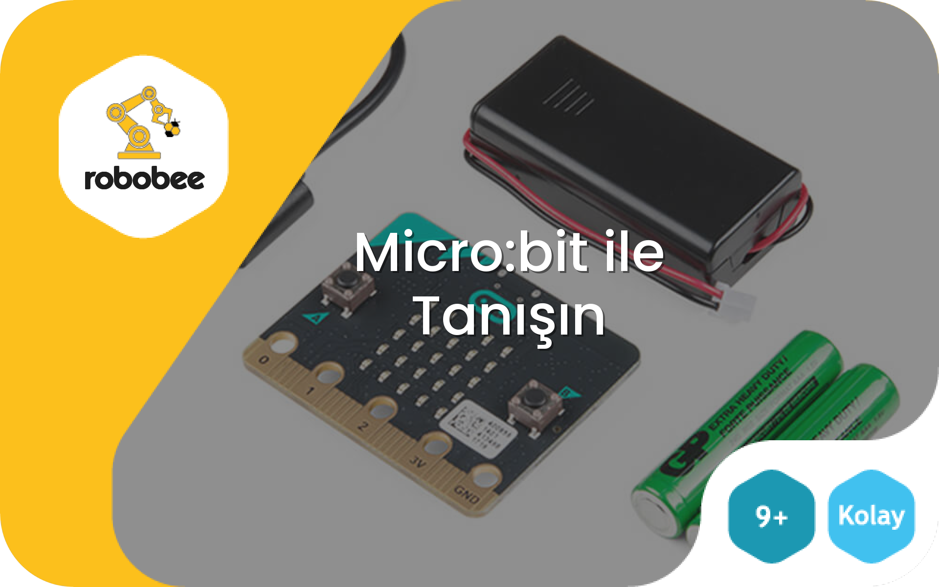Micro:bit ile Tanışın