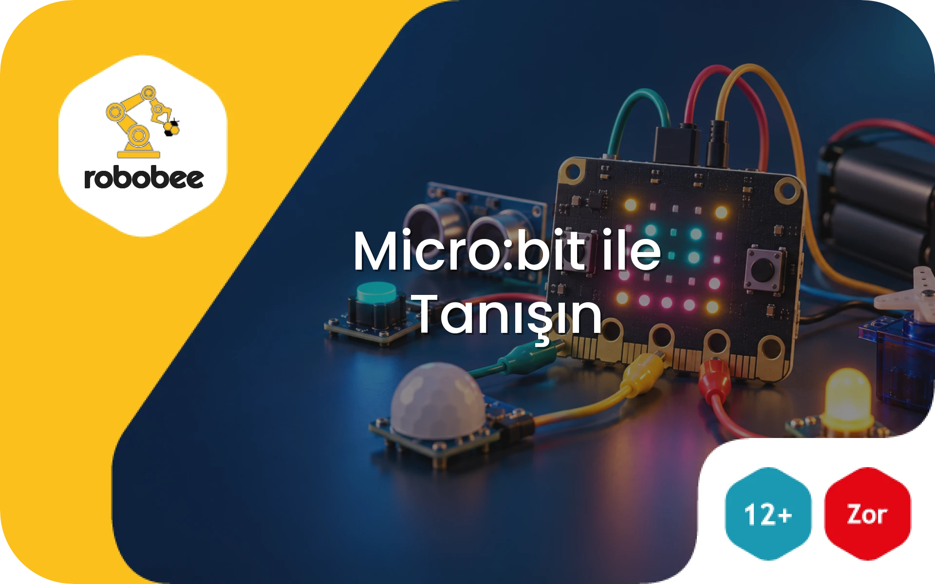 Micro:bit ile Tanışın