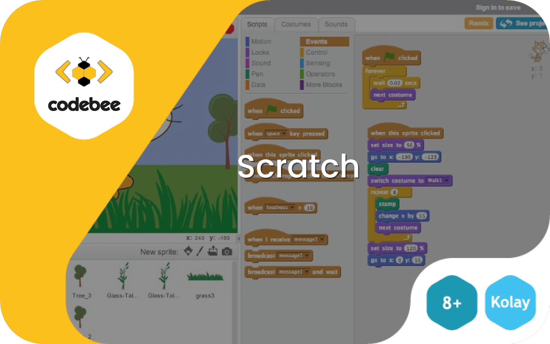 Scratch 