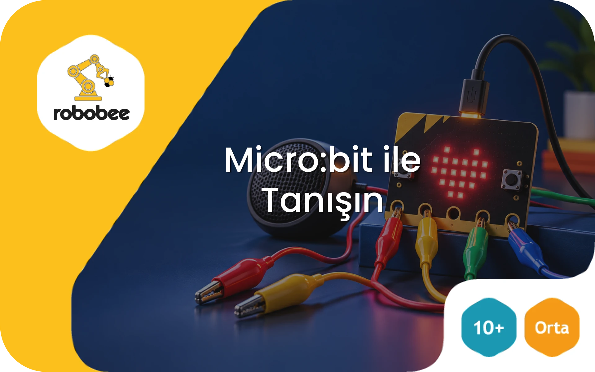 Micro:bit ile Tanışın