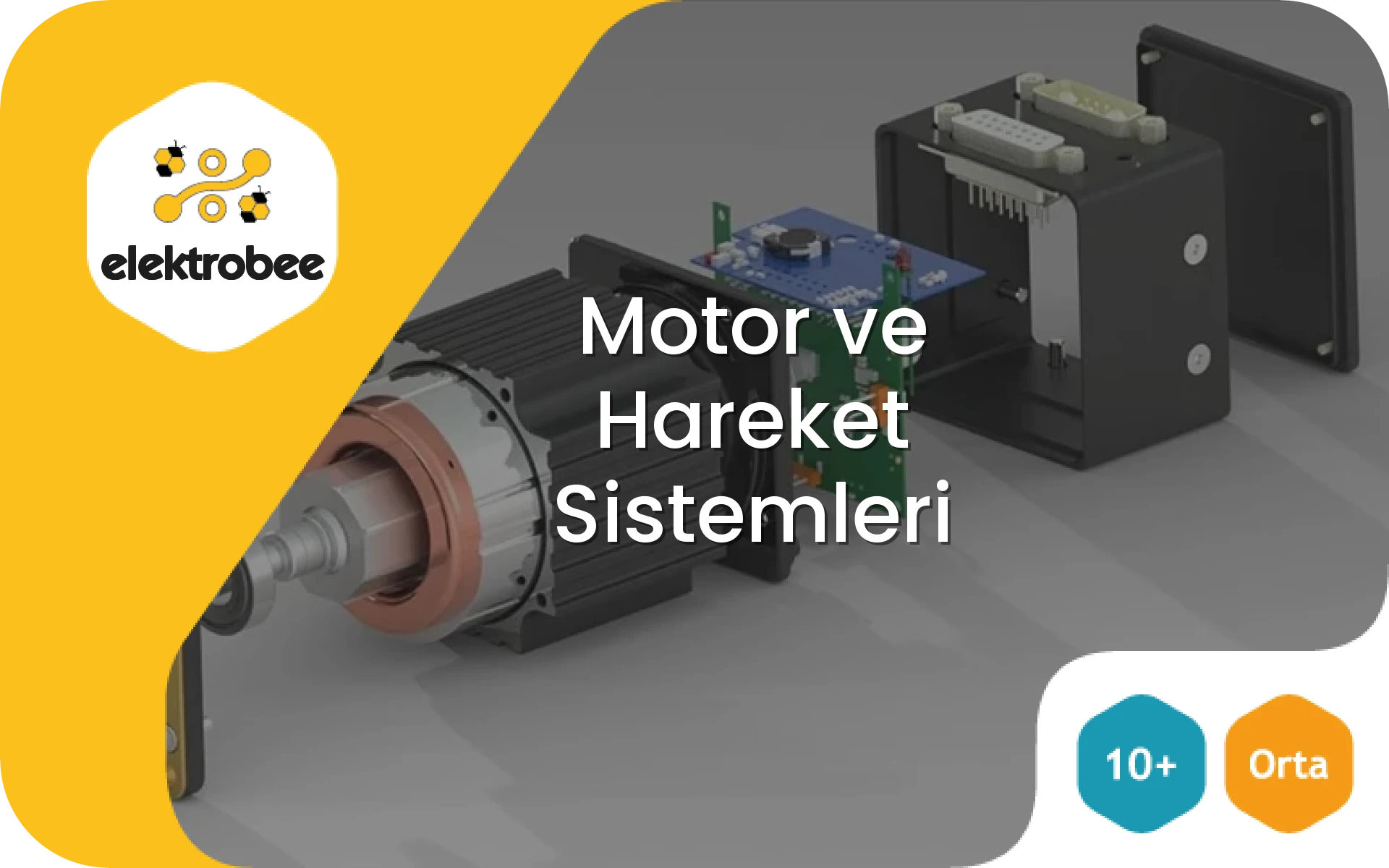 Motor ve Hareket Sistemleri