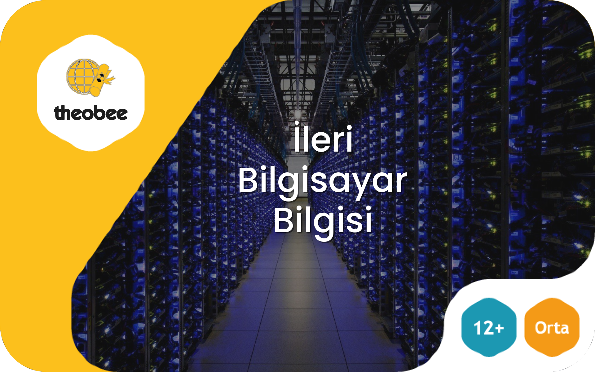 İleri Bilgisayar Bilgisi