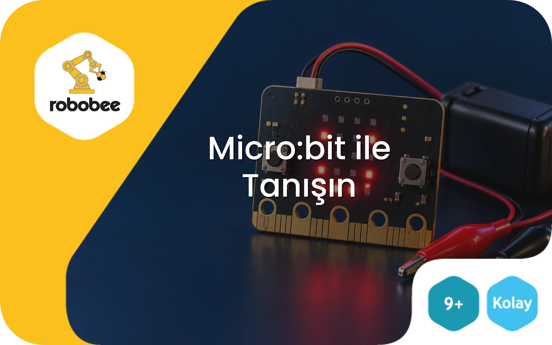 Micro:bit ile Tanışın