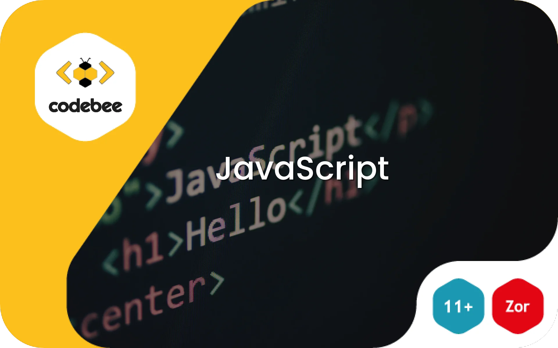 JavaScript