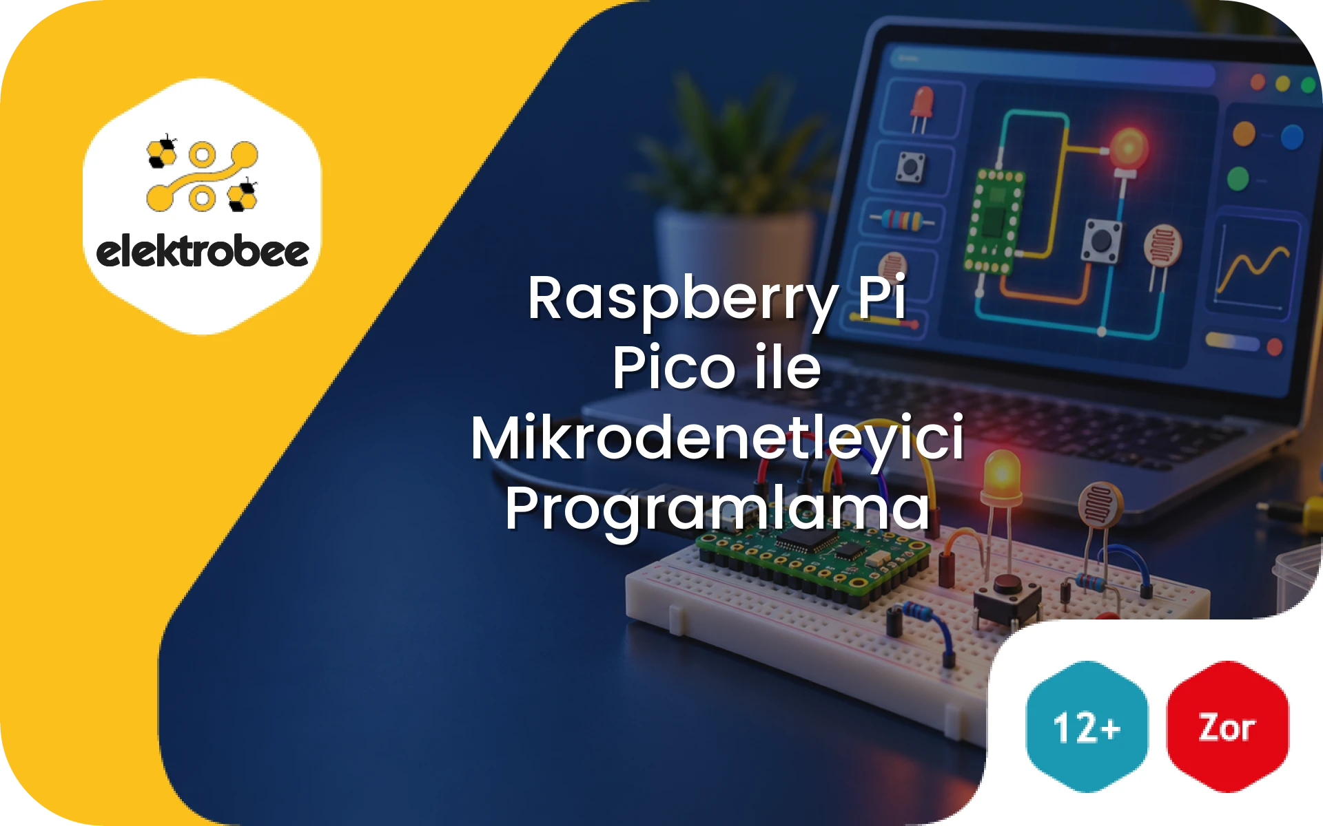 Raspberry Pi Pico ile Mikrodenetleyici Programlama