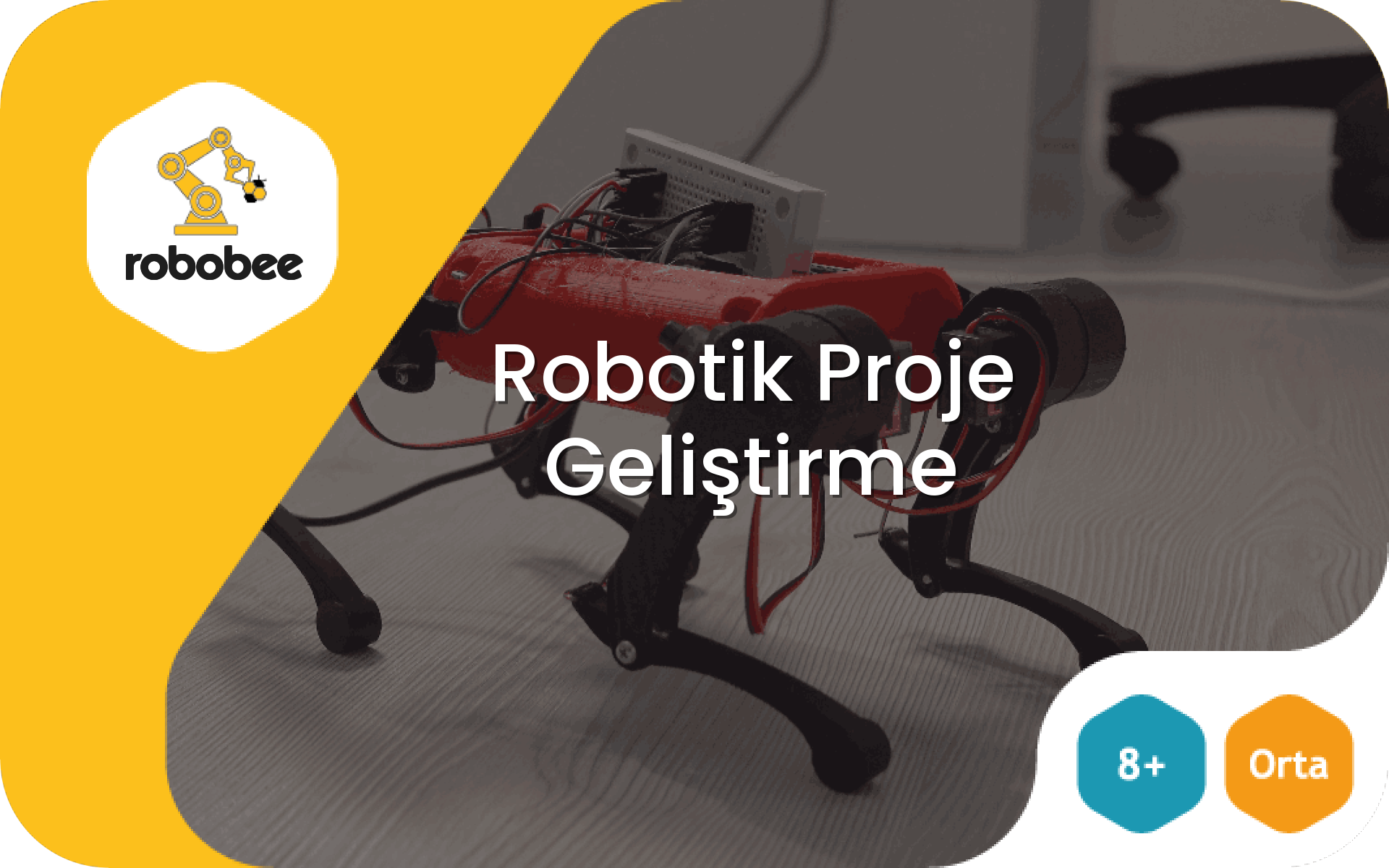 Robotik Proje Geliştirme